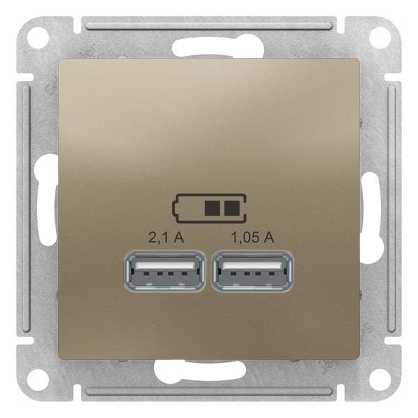 Розетка 2xUSB Schneider Electric ATLASDESIGN, скрытый монтаж, шампань, ATN000533